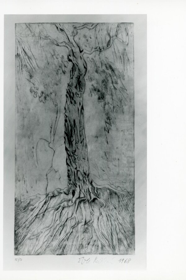 Strom s hlubokými kořeny 	Suchá jehla (Vystaveno na Konfrontaci v Teplicích, na trienále v Krakově)